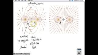 Russo Physics: Electrostatics 4 - Electric Fields Conceptual