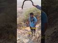 pahad vali video #songs #sort #sorts #automobile #delyvlogs #harekfriendkaminahotahai #india