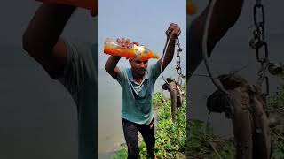 Viral Hook fishing method with testy juice or milk #fishing #river