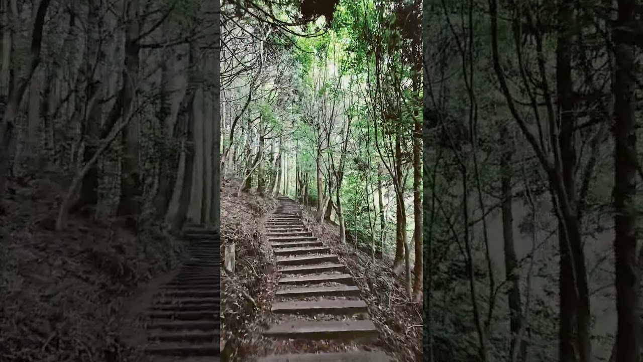 #고근산