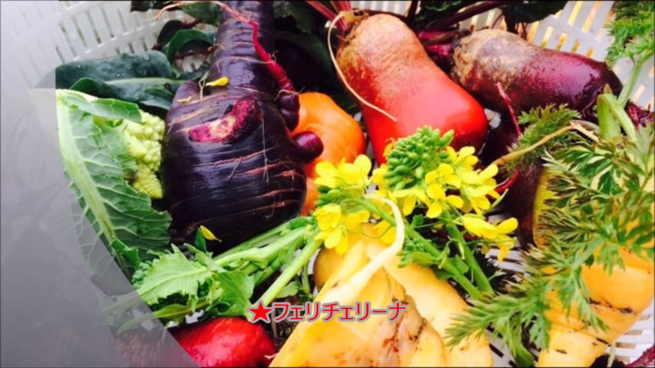 芸能人 居酒屋 遭遇確率の高い店 中目黒 Youtube