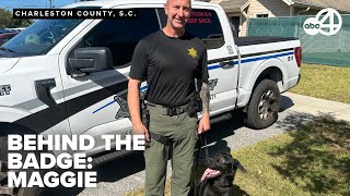 Behind the Badge: Charleston Co. K9 goes from the shelter to patrol