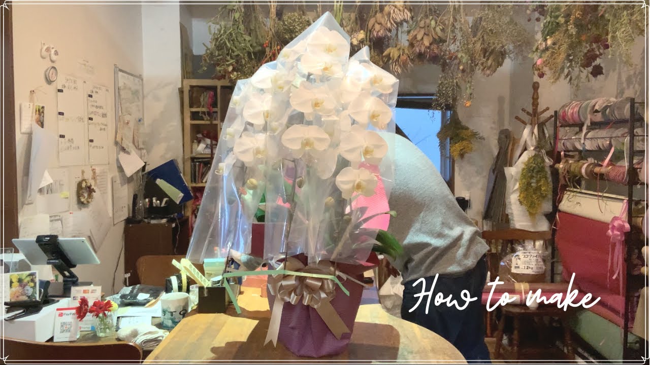 【5分で】白い胡蝶蘭のラッピング方法