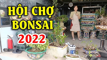 POSCOM Tất Bật Chuẩn Bị Cho Hội Chợ Sinh Vật Cảnh BẮC NINH 2022