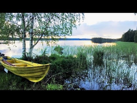 Video: Wie Rufe Ich Finnland An