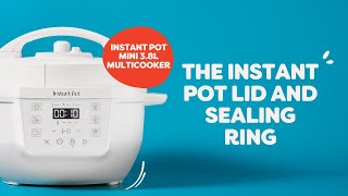 How to use the Lid and Sealing Ring - Instant Pot Classic Mini 3.8L Multi-Cooker