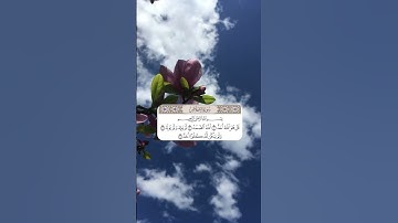 سورة الاخلاص محمد ايوب