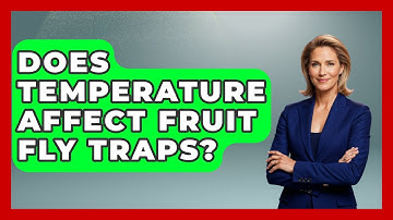 Does Temperature Affect Fruit Fly Traps? - Insects and Invaders