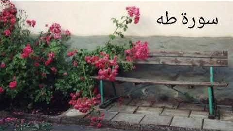 تلاوي عذبة تريح القلوب ✨ 💚بصوت هادئ سورة طه🥀🕊️🥀🕊️