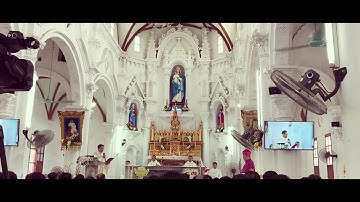 Thánh lễ tạ ơn tân linh mục Anton Nguyễn Văn Dưỡng tại quê nhà Giáo xứ Bình Cách  9-8-2018