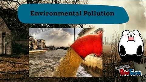 Environmental Degradation