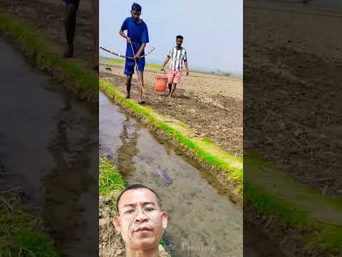 #fishing #shortvideo #shorts