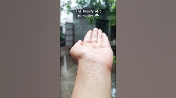 Thumbnail of The beauty of a rainy day 🌧️ #rainyseasons #rainyweather #nature #youtubeshorts