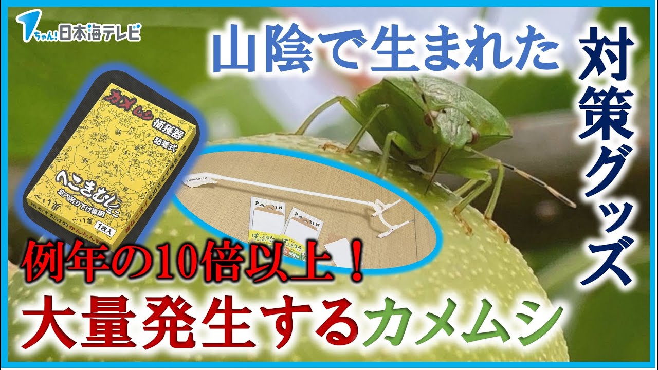 カメムシ御免 新製品 40入り