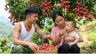 Trieu Duong, Maya and Truc Lam Pick Sweet Lychees on the Mountain screenshot 4