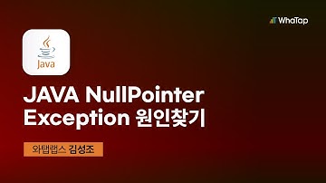 JAVA NullPointerException 원인 찾기