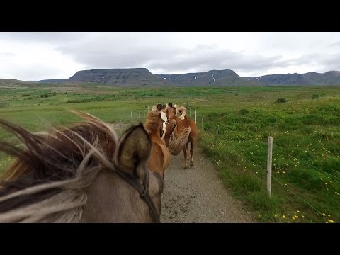 Video: Vulkaniska Hus