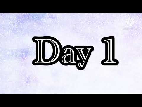 Day 1 (20