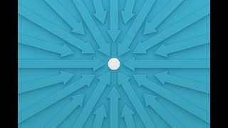 Alluring and Elusive: The Search for Definitive Answers