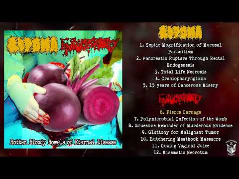 Lipoma Endometriosity Split CD FULL ALBUM 2025 Pathological Goregrind