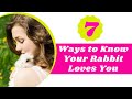 7 Ways How to Tell If Your Bunny Loves You ! Pet Lovers