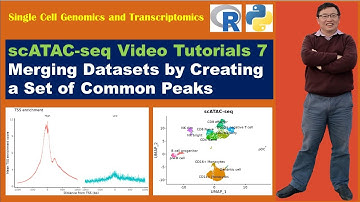 scATAC-seq Video Tutorials--Video 7: Merging Datasets by Creating a Set of Common Peaks
