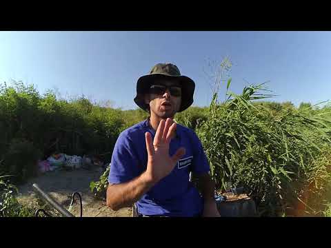 თევზაობა ფიდერით გამარჯვების ტბაზე