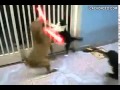 猫がライトセーバーを持てば止められる者はいない