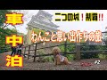 二つの城を制覇/わんこと思い出作りの旅