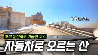 해발 1,046M까지 차로 오르는 역대급 가성비 산