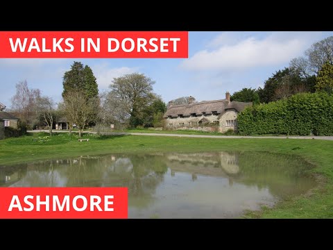 WALKS IN DORSET at ASHMORE (THE HIGHEST VILLAGE IN DORSET) (4K)