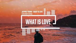 Jaymes Young - What Is Love (Zemlinsky Remix)