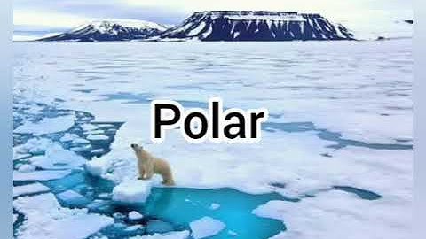 Connect plus 4 . Unit 7 . Lesson 1 Different environments