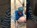 Drinking Local Beer In Karo Tribe Ethiopia рџЌєрџ Єрџ Authentic African Experience Drinking Local Beer In Karo Tribe Ethiopia рџЌєрџ Єрџ Authentic African Experience