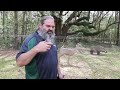 How to Aim and Shoot Traditional Archery Bows - Aiming Method Mp3 Song