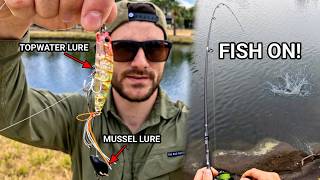 TOPWATER LURE vs MUSSEL LURE! INSANE DAY Catching SO MANY Fish!