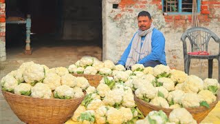 मेरे गांव के तरीके से बनाएं आलू गोभी की मसालेदार सूखी सब्जी बिना प्याज लहसुन की टेस्टी सब्जी Sabji