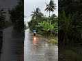 Calm After Rain? Not Yet — Strong Winds Hit the Village #greenvillage #rain #nature #strongwind