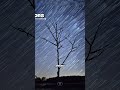 Perseids Meteor Shower July 2025 Don T Miss Astronomy Perseids Meteor Shower July 2025 Don T Miss Astronomy