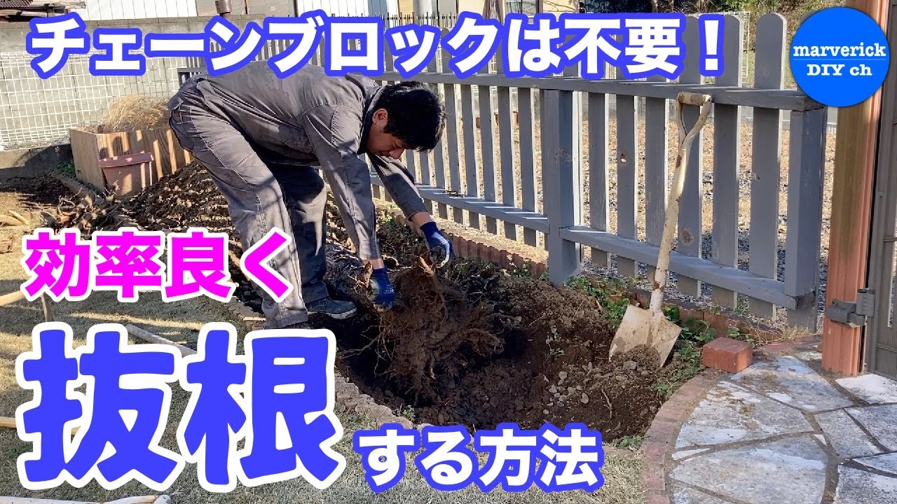 新　樹木抜根 新 樹木抜根