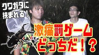 【罰ゲーム有】クワガタを大量に捕まえろ！採取対決！【後編】