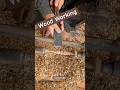 Wood Working star. #woodart #woodcarving #woodcarving