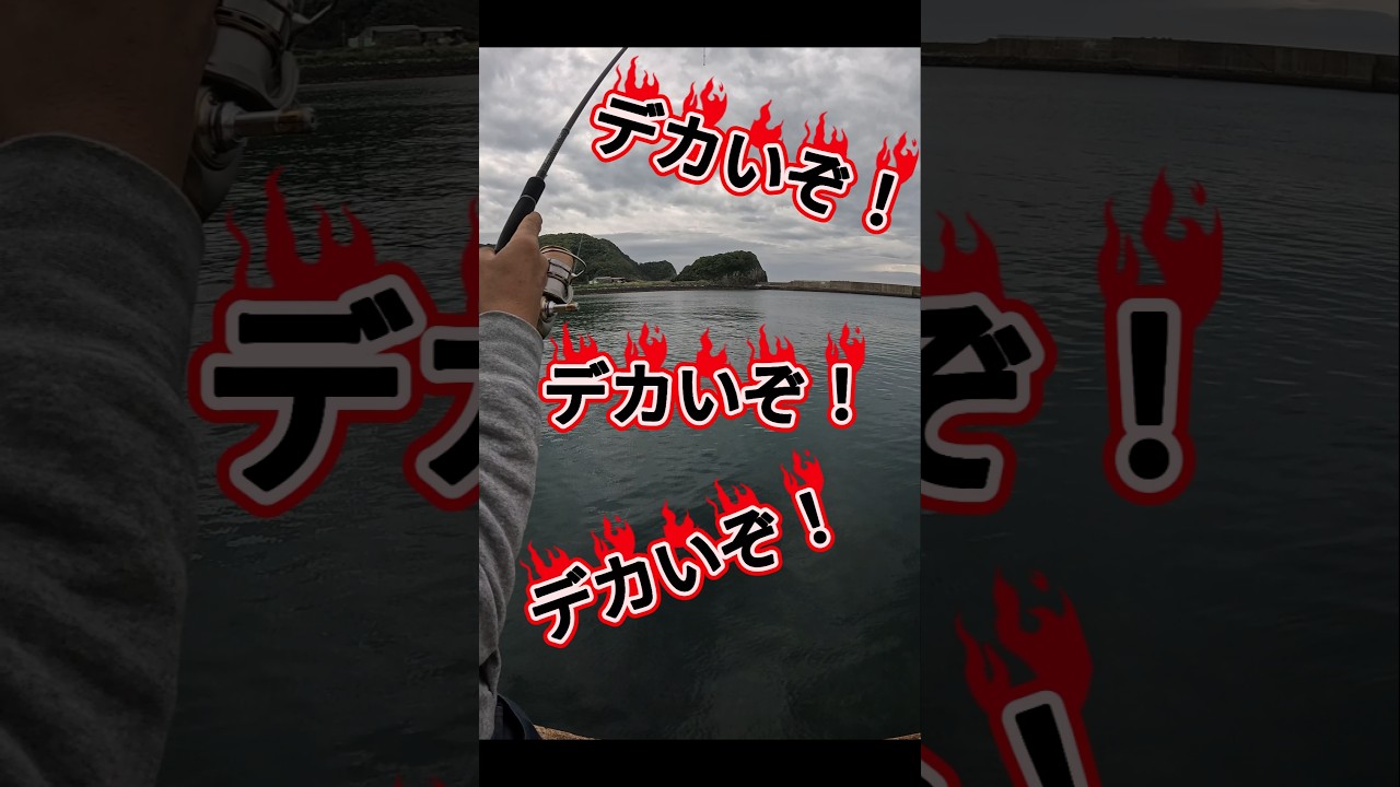 エギングでキロ超え確定！？からの絶望