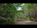 [4K]1min Relaxation for Children with the Nature/19.03.2020/Ratchaburi, Thailand/By Mr.HarryNakub