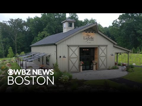 New Hampshire winery hosts unforgettable yearly harvest experience