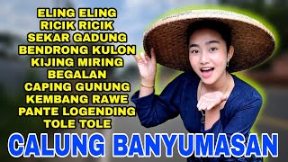 Eling eling banyumasan gending jawa full bass