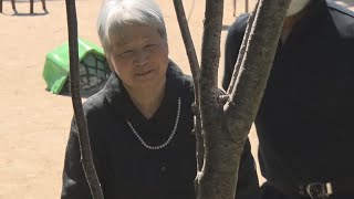 息子の形見桜、公園に移植 尼崎脱線事故後の死しのぶ母