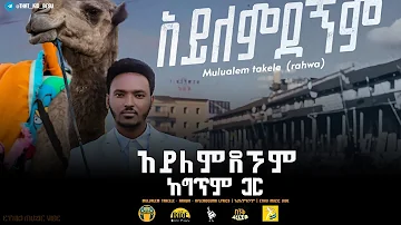 Mulualem Takelle - Rahwa - Aylemdegnm Lyrics | አይለምደኘም ከግጥም ጋር | Ethio Muzic Vibe