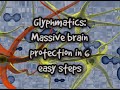 Glymphatics: Massive brain protection in 6 easy steps