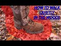 Your biggest mistake when walking through woods... Explained